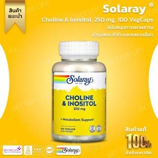 Solaray, Choline &amp; Inositol, 250 mg, 100 VegCaps(No.3213)