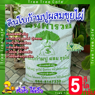 ดินใบก้ามปูผสมขุยไผ่ 5 kg + มูลไส้เดือนแท้ 1kg 🌳 ดินปลูกต้นไม้ เร่งโต เร่งการแตกราก เร่งใบ เร่งดอก เพาะเมล็ดอัตราการงอกส