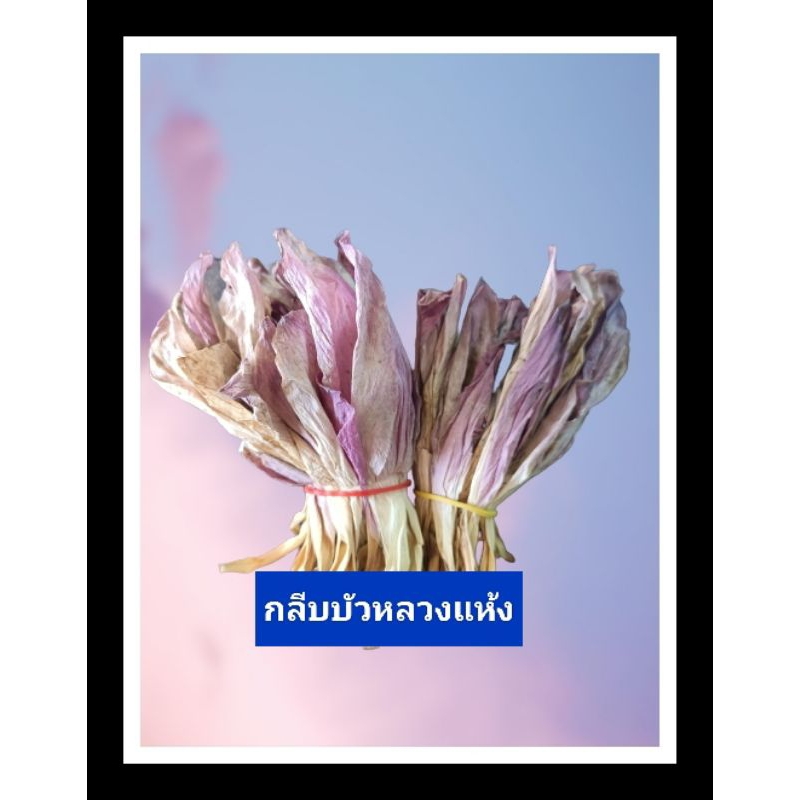ชาบัว กลีบบัวแห้ง ดอกบัวหลวง ชาบัวสมุนไพร เกษตรอินทรีย์ 1ห่อ49.-