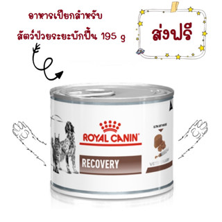 -ส่งฟรี- Royal Canin Recovery Cats Dogs อาหารสุนัข แมว สัตว์ป่วยพักฟื้น กระป๋อง 195g 12 กระป๋อง