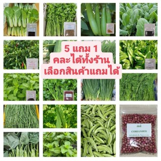 🌱รวมเมล็ดพันธุ์ผักสวนครัวปลูกง่ายโตไว🌱 อัตราการงอกสูง 🎈5แถม1…