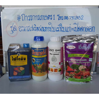 ชุดเร่งใบแก่,สะสมตาดอก,เปิดตาดอก,บำรุงดอก(ไฟโตมีน+ซิโกเค3-0-32+6-32-32+โจ๊กเกอร์บี)สะสมอาหาร 5.4กก.