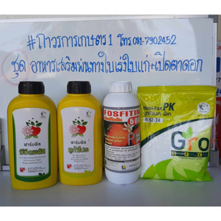 ชุดเร่งใบแก่,สะสมตาดอก,เปิดตาดอก,บำรุงดอก(ซีวีดพลัส+ฟอสฟิตติน0-30-20+0-52-34+ซูก้าร์โปร)สะสมอาหาร 5.1กก.