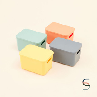 SARABARN Desktop Storage Box With Handheld | กล่อง กล่องเก็บของ