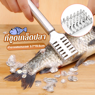 ที่ขูดเกล็ดปลา ที่ขอดเกล็ด สแตนเลส เครื่องใช้ในครัว Fish scale scraper