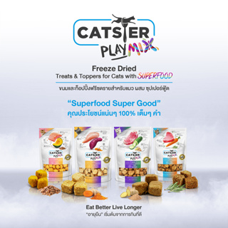 Catster ขนมฟรีสดรายแมว แคทสเตอร์