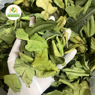 ใบมะกรูดอบแห้ง ตราชาดาสุวรรณ์ dried kaffir lime leaf มาตรฐานโรรงานผลิต คุณภาพส่งออก ใบมะกรูด