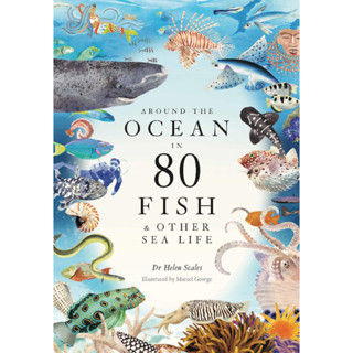 Around the Ocean in 80 Fish &amp; Other Sea Life