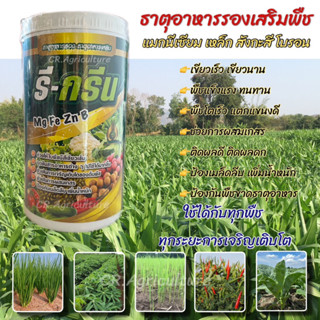 รีกรีน (1กก.) ปุ๋ยเคมี ธาตุอาหารรองเสริมพืช ธาตุอาหารรอง ธาตุอาหารเสริม แมกนีเชียม เหล็ก สังกะสี โบรอน