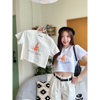 BABY CROP เสื้อครอปสกรีนลายน่ารัก เนื้อผ้าCotton 🍧🍭
