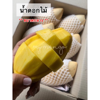 🚨พร้อมส่ง🚨 มะม่วงน้ำดอกไม้ แก่จัดสุกธรรมชาติ ไม่บ่มแก๊ส มะม่วงสุกหวานเจี๊ยบ