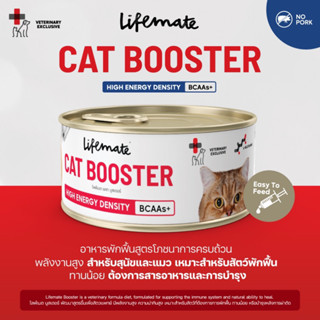 อาหารพักฟื้นสำหรับแมว ต้องการการดูแลพิเศษ Lifemate Booster สูตรโภชนาการครบถ้วน