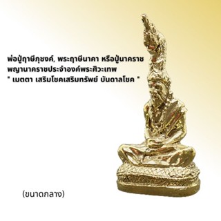 พ่อปู่ฤาษีภุชงค์, พระฤาษีนาคา หรือฤาษีนาคราช(ขนาดกลาง)
