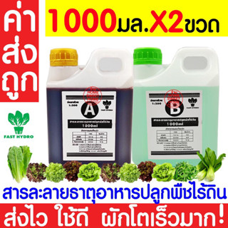 *ค่าส่งถูก* สารละลาย AB (1000mlx2ขวด)ไฮโดรโปนิกส์ เอบี ธาตุอาหาร ผักไฮโดร Hydroponics ผักสลัด ผักไทย ผักจีน clearance