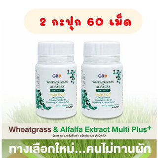 [ 2 กะปุก 60 เม็ด ] ผักเม็ด Globalone Wheatgrass &amp; Alfalfa Q10