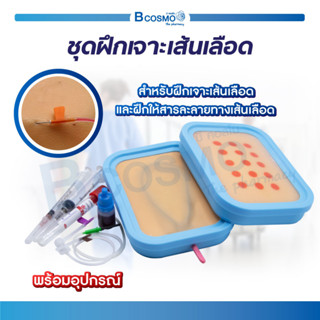 [[ พร้อมส่ง ]] ชุดฝึกเจาะเส้นเลือด หนังฝึกเจาะ หนังเจาะ สำหรับฝึกให้สารละลาย เหมาะสำหรับการเรียนการสอน / Bcosmo