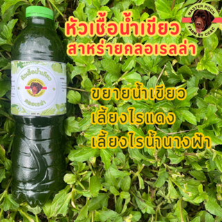 หัวเชื้อน้ำเขียว (สาหร่ายคลอเรลล่า) ขนาด 600 ml