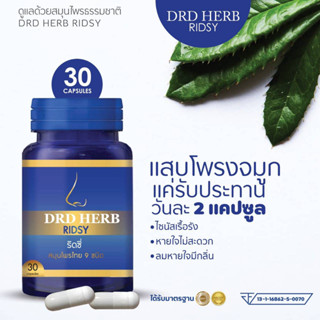 DRD HERB ดีอาร์ดีเฮิร์บ สมุนไพร 9 ชนิด ดูแลโพรงจมูกอักเสบ ภูมิแพ้ ไซนัส ขนาด 30 แคปซูล ของแท้-ส่งฟรี