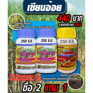 [พร้อมส่ง] เซียนอ้อย  250ซีซี.2ขวดแถม เซียนจับใบ 1ขวด อะมิโนพืช ชนิดเข้มข้ม ฮอร์โมนอ้อย ปุ๋ยฉีดอ้อย ปุ๋ยทางใบ ฮอร์โมนพืช