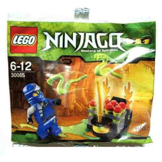 LEGO 30085 Jumping Snakes Ninjago polybag Jay Walmart exclusive