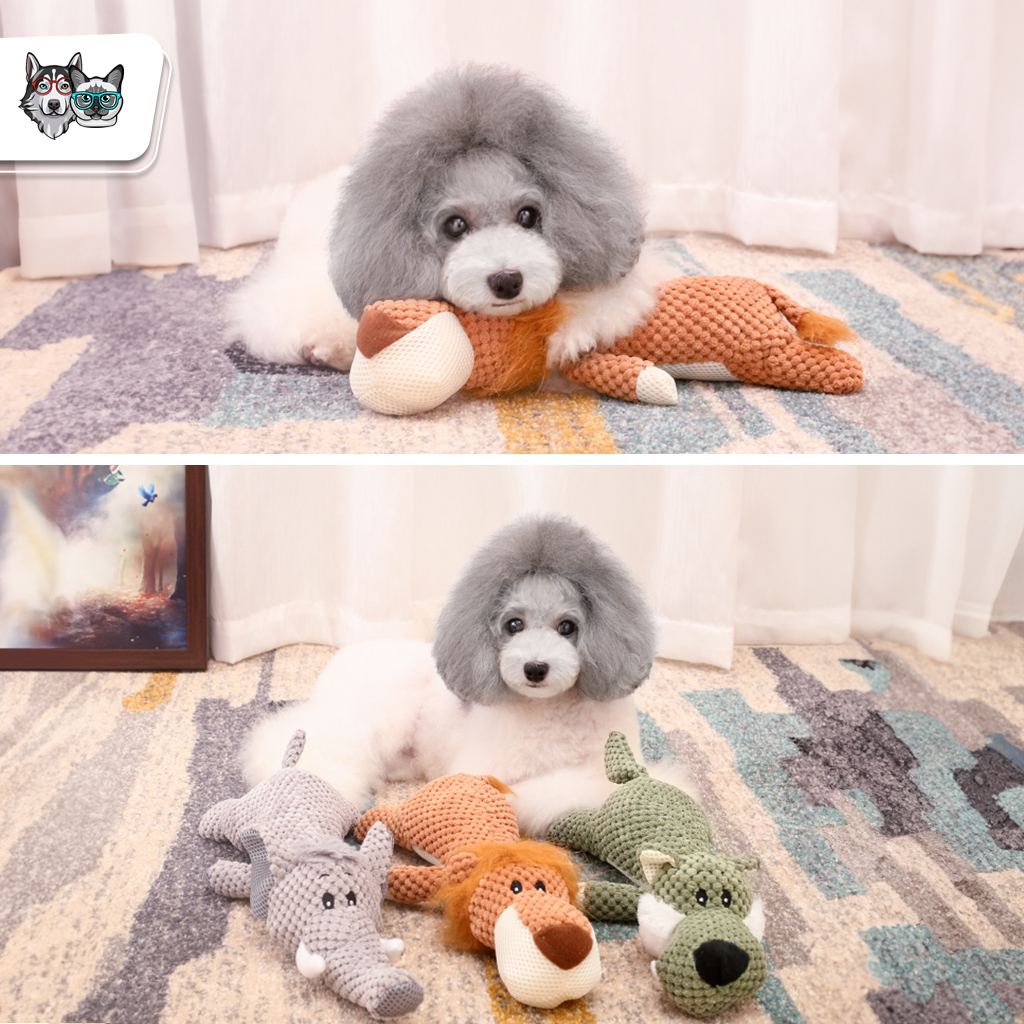 [พร้อมส่ง ] SAFARI DOG TOY ของเล่น สุนัข บีบมีเสียง แข็งแรงทนทาน ตุ๊กตาสุนัข สำหรับ สุนัขสายพันธุ์เล็ก CleverPet