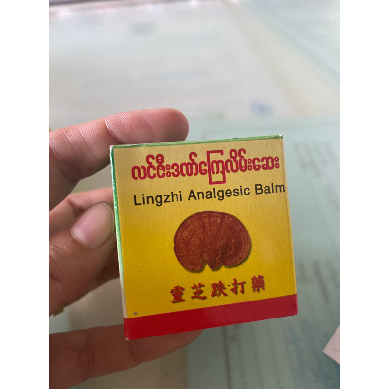 Lingzhi Analgesic Balm