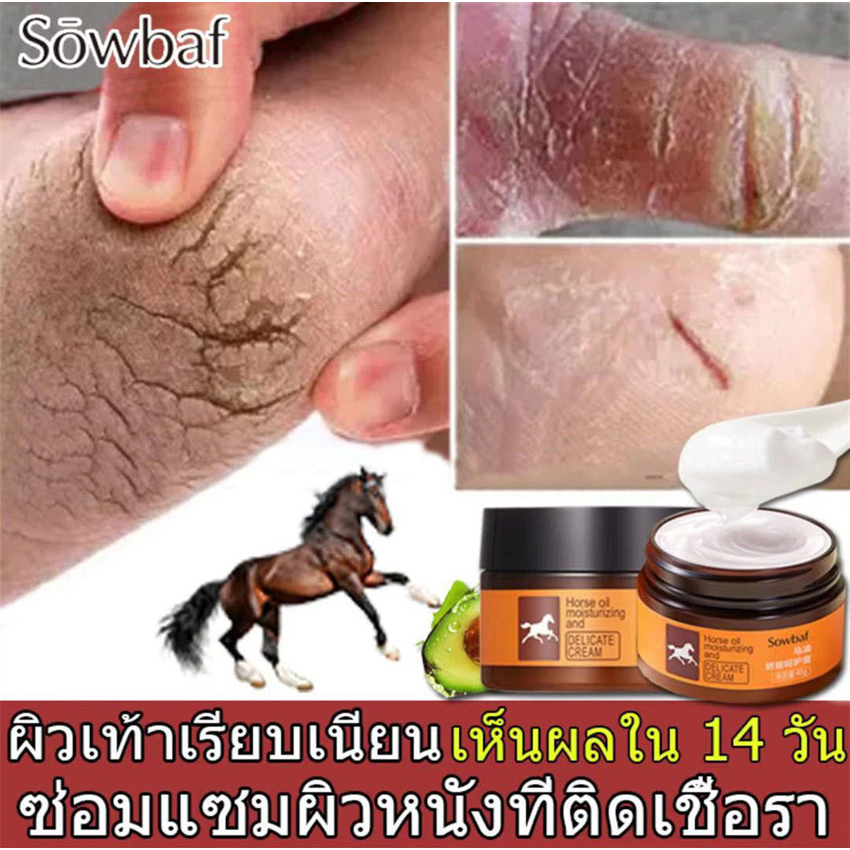 Jlisa ครีมทาเท้าแตก 40g บำรุงผิวเท้าที่แห้ง ครีมบำรุงเท้า ครีมทาเท้าขาว ดูแลเท้า น้ำมันม้า ครีมทาส้น