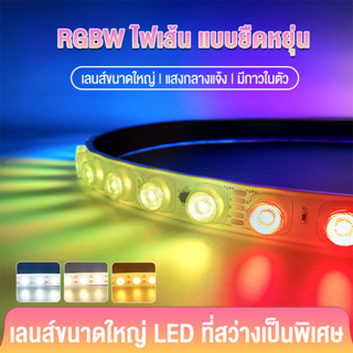 ไฟเส้น LED 24V แสงเชิงเส้น DMX512 กันน้ำ สำหรับตกแต่งบ้าน/รถ/อาคาร strip light ใช้งานกลางแจ้งได้ กันน้ำ ทนแดด