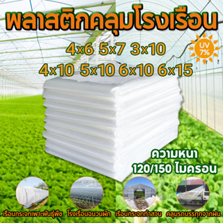 พลาสติกคลุมโรงเรือน พลาสติกใส พลาสติกคลุมโรง ผ้ายางใสแบบหนา UV7% หนา120/150ไมครอน 3x5 4x5 3x10 4x10 6x15 พลาสติกโรงเรือน