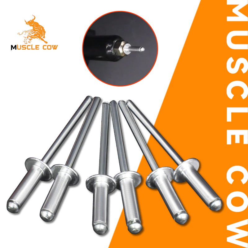MUSCLE COW ลูกรีเวท หมุดย้ำ ตะปูยิง 4x12mm 180g/ห่อ หมุดย้ำหัวใหญ่ หมุดย้ำสำหรับประตูรถรถบรรทุก โดยเฉพาะหมุดย้ำ