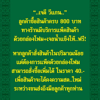 🉐ปลาเค็มเจ โยตา (Youta) 10 ชิ้น ขนาด 500 กรัม - Vegetarian Salty Fish 500g. - อาหารเจ อาหารวีแกน อาหารมังสวิรัติ