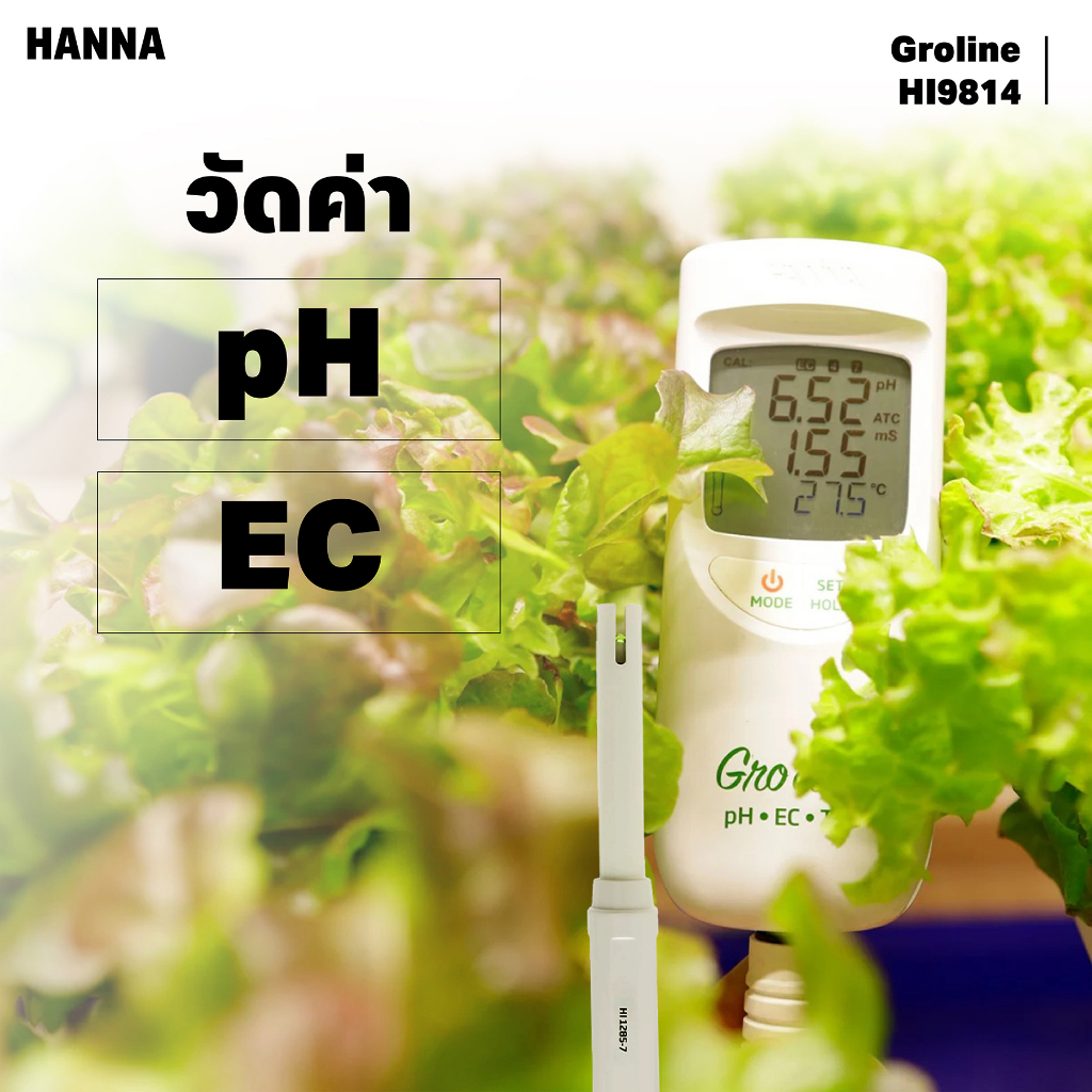 HANNA GroLine HI9814 เครื่องวัดค่า pH/EC/TDS และอุณหภูมิระดับโรงเรือน