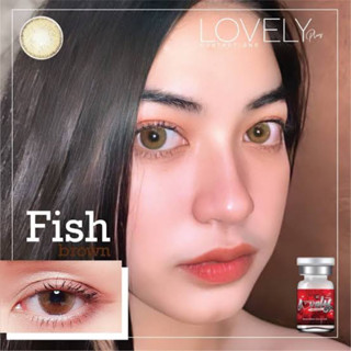 Bigeye บิ๊กอาย Fish สีเทา สีน้ำตาล Lovely ✨คอนเเทคเลนส์กรองเ…
