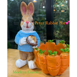 🇬🇧🐰Peter Rabbit with carrot Pot 🥕 หวานเจี๊ยบ💕 กระถางต้นไม้แต่งบ้าน น่ารัก