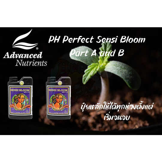 Advanced Nutrients PH Perfect Sensi Bloom Part A and B 500ML.