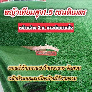 หญ้าสูง1.5เซน สีเขียวมรกตสีสวยธรรมชาติ ปูร้าน จัดสวน งานอีเว้นท์ต่างๆราคาคุ้มสุด