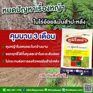 กำจัดวัชพืช ซูมิโซย่า 100 กรัม ใบกว้าง ผักโขม หญ้ายาง สาบแร้งสาบกา พืชใบแคบ คุมหญ้า อ้อย มันสำปะหลัง คูลเกษตรKP4