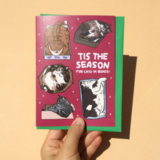 การ์ด คริสต์มาส ลายแมว Tis the Season of Cats in Boxes Merry christmas card Santa Cat Christmas Greeting Card