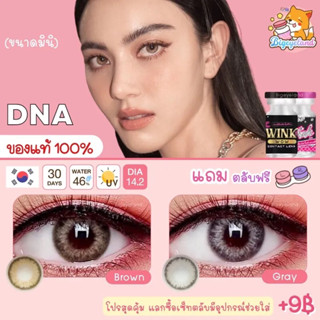 คอนแทคเลนส์ ดีเอ้นเอ DNA ✨ขนาดมินิ✨ DNA ✨Wink สีน้ำตาล,สีเทา