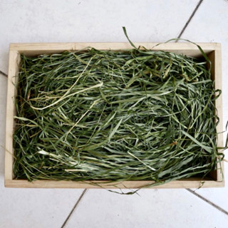 หญ้าทิโมธีต้นอ่อนเน้นใบ Timothy Hay (200-250G)