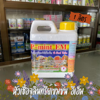 หัวเชื้อจุลินทรีย์เข้มข้น พี-มินท์ อีเอ็ม P-mint EM 1ลิตร ปรับกรดด่างในดินและน้ำ ช่วยให้ดินร่วนซุย ย่อยสลายอินทรีย์วัตถุ