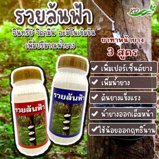 ยาทาหน้ายาง รวยล้นฟ้า สูตร 3 พลัง หน้ายางกรีดง่าย หน้ายางไม่เกิดรา น้ำยางออกเต็มหน้า ใช้น้อยออกฤทธิ์ยาวนาน