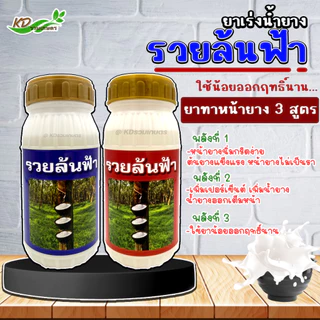 ยาทาหน้ายาง รวยล้นฟ้า สูตร 3 พลัง หน้ายางกรีดง่าย หน้ายางไม่เกิดรา น้ำยางออกเต็มหน้า ใช้น้อยออกฤทธิ์ยาวนาน