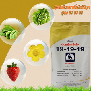 ปุ๋ยเกล็ดตราเรือใบไข่มุก สูตร 19-19-19  สูตรบำรุงทุกส่วนของพืช ต้น ใบ ดอก ผล ช่วยเปิดตาดอก ฟื้นฟูลำต้นหลังการเก็บเกี่ยว
