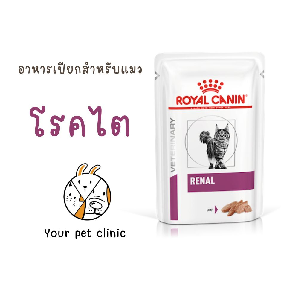 Royal Canin โรยัล คานิน อาหารแมวประกอบการรักษาโรคไต ชนิดเปียก (RENAL LOAF) 12 ซอง/กล่อง