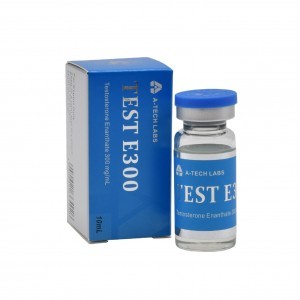 A TECH LABS TEST E300 (TESTOSTERONE ENANTHATE 300/10)