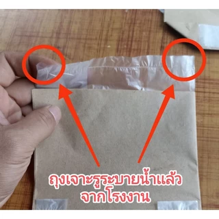 ถุงห่อฝรั่งสำเร็จรูป กระดาษ 2 ชั้น 100 ใบ สะดวก ห่อได้ทั้ง 2 เเบบ ใช้ เเม๊กซ์เย็บ เเละ ใช้มือมัด กันฝน กันเเดด ขนาด 6×12
