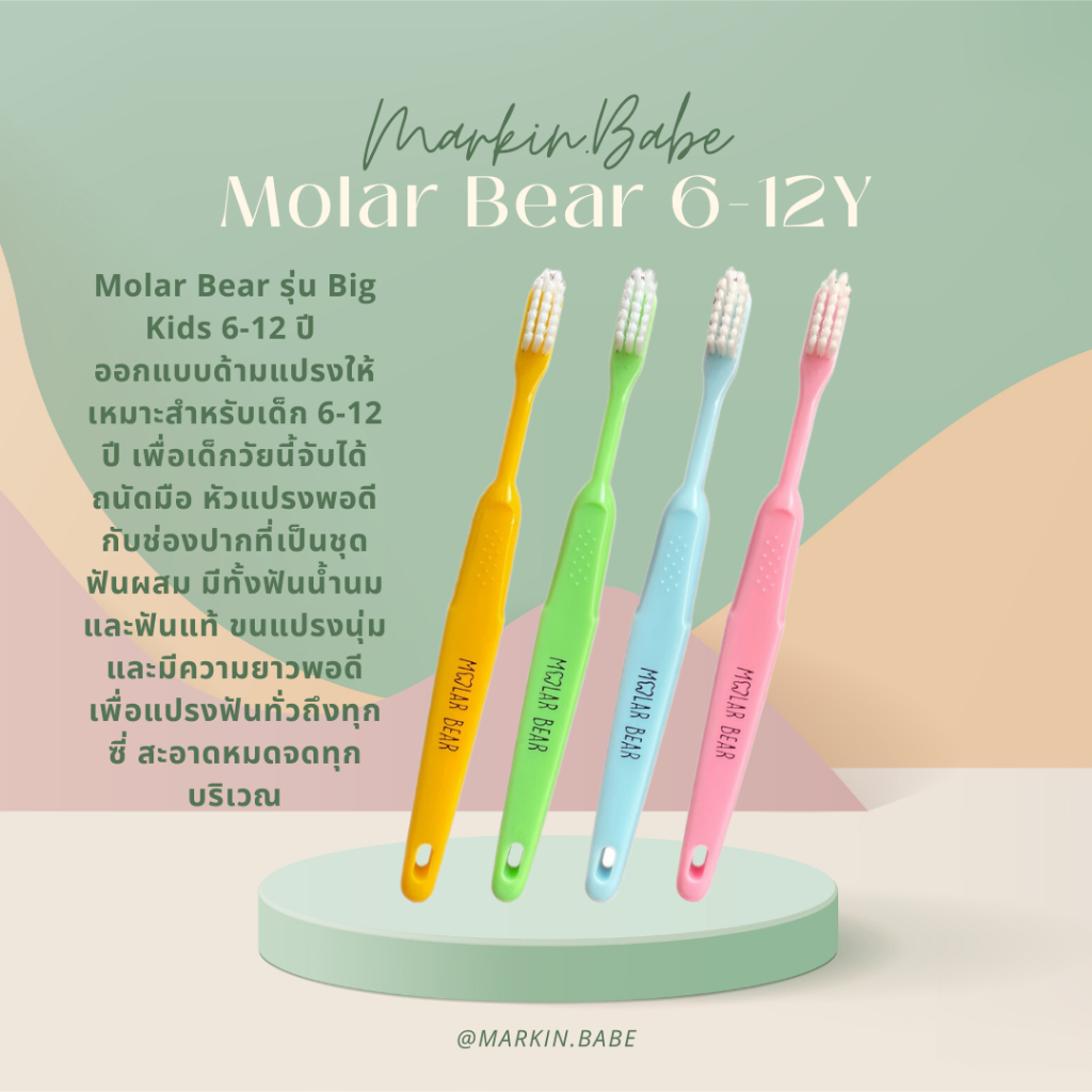 MOLAR BEAR I แปรงสีฟันเด็ก ครบทุกช่วงวัย (0-3) (3-6) และ (6-12+) I MARKIN.Babe ราคา ถูกที่สุด ดีลบีเคเค แกลเลอรีภาพที่ 4