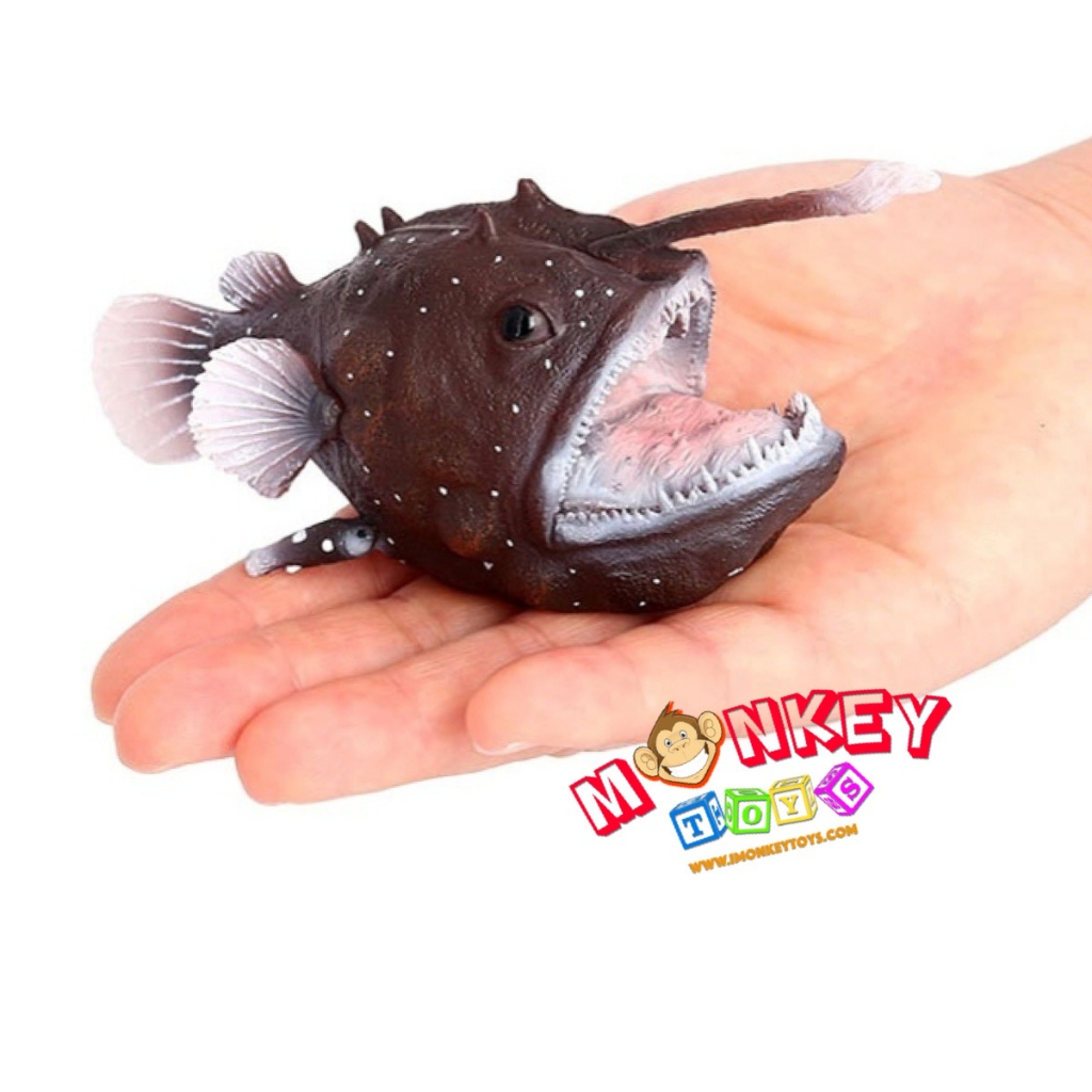 Monkey Toys - โมเดลสัตว์ Fish ปลา ฟุตบอลแปซิฟิก ขนาด 13.00 CM (จากหาดใหญ่)