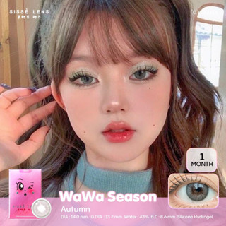 (*โค้ดส่วนลด12% ใส่โค้ด B2LOSEP) Sissè lens รุ่น WaWa Autumn 🌸 คอนแทคเลนส์เกาหลีรายเดือน